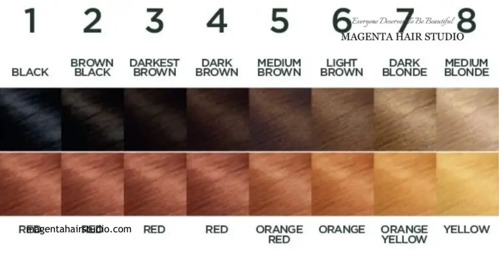 Hair Colour Chart 2025: Find Your Perfect Shade & Stay on Trend 2 Choosing the Right Hair Colour